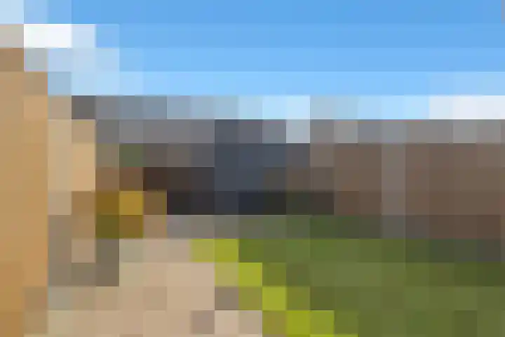 Groenling 9 Hoogkarspel thumbnail 35