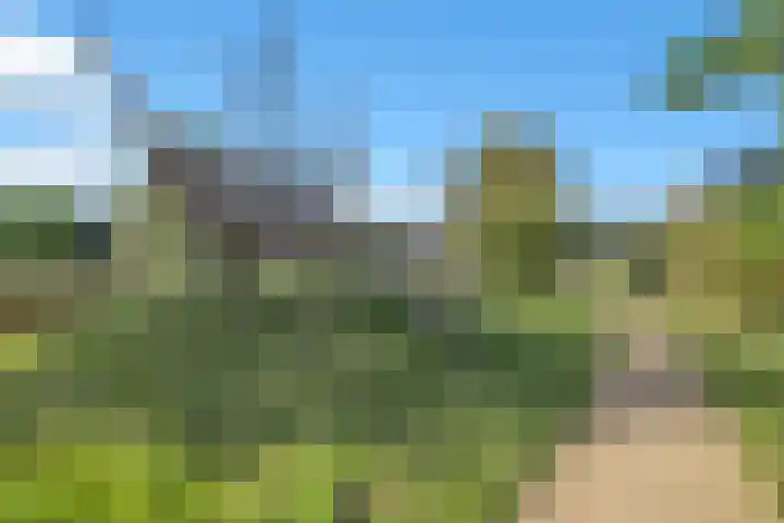 Groenling 9 Hoogkarspel thumbnail 38