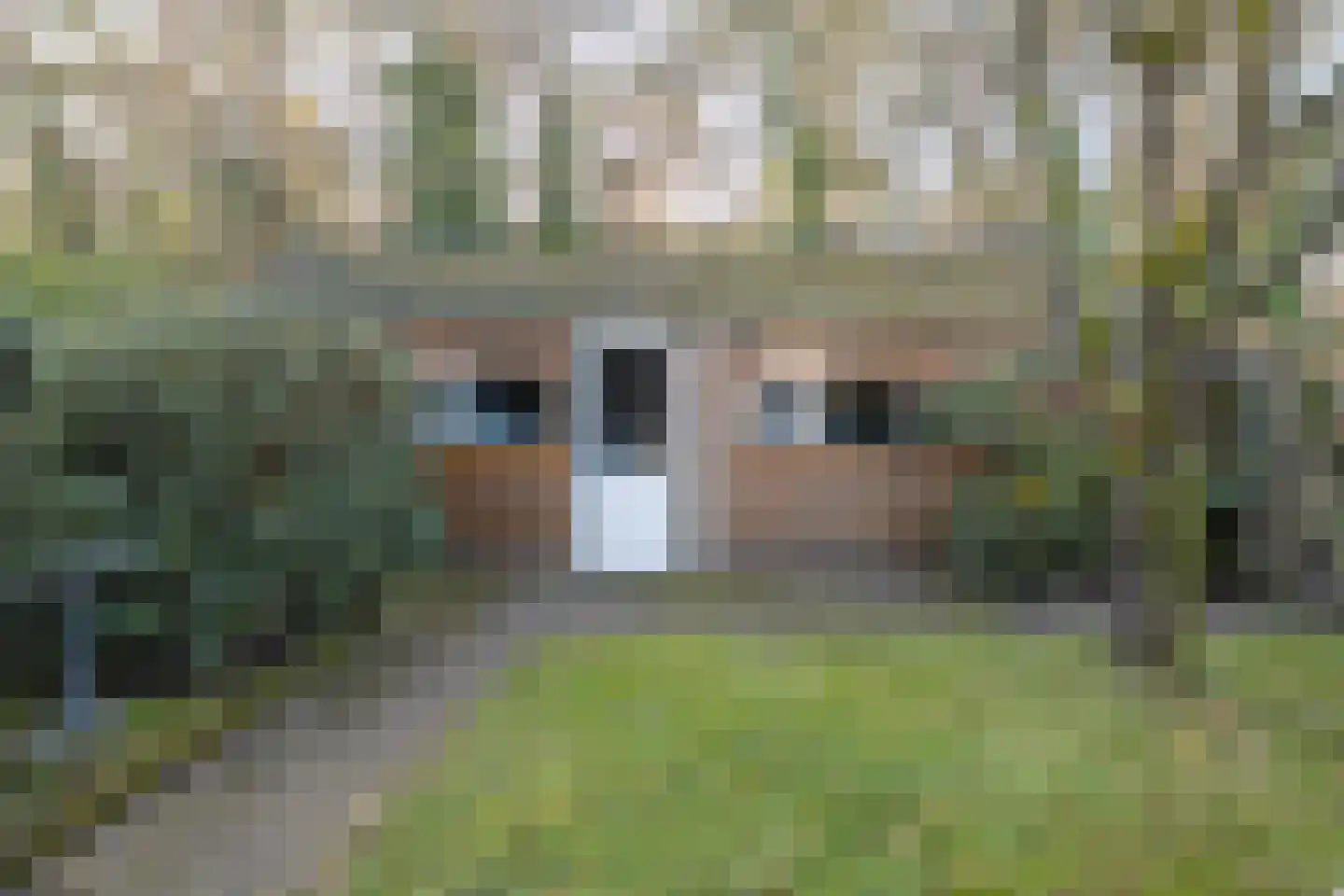 Groenlinglaan 30 Maarn thumbnail 32