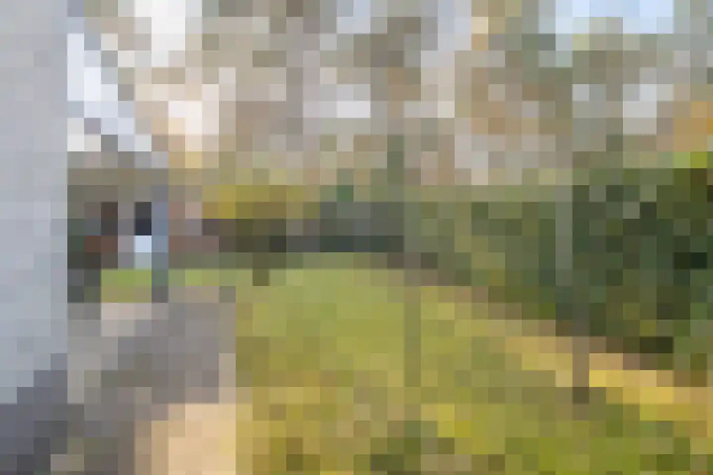 Groenlinglaan 30 Maarn thumbnail 38
