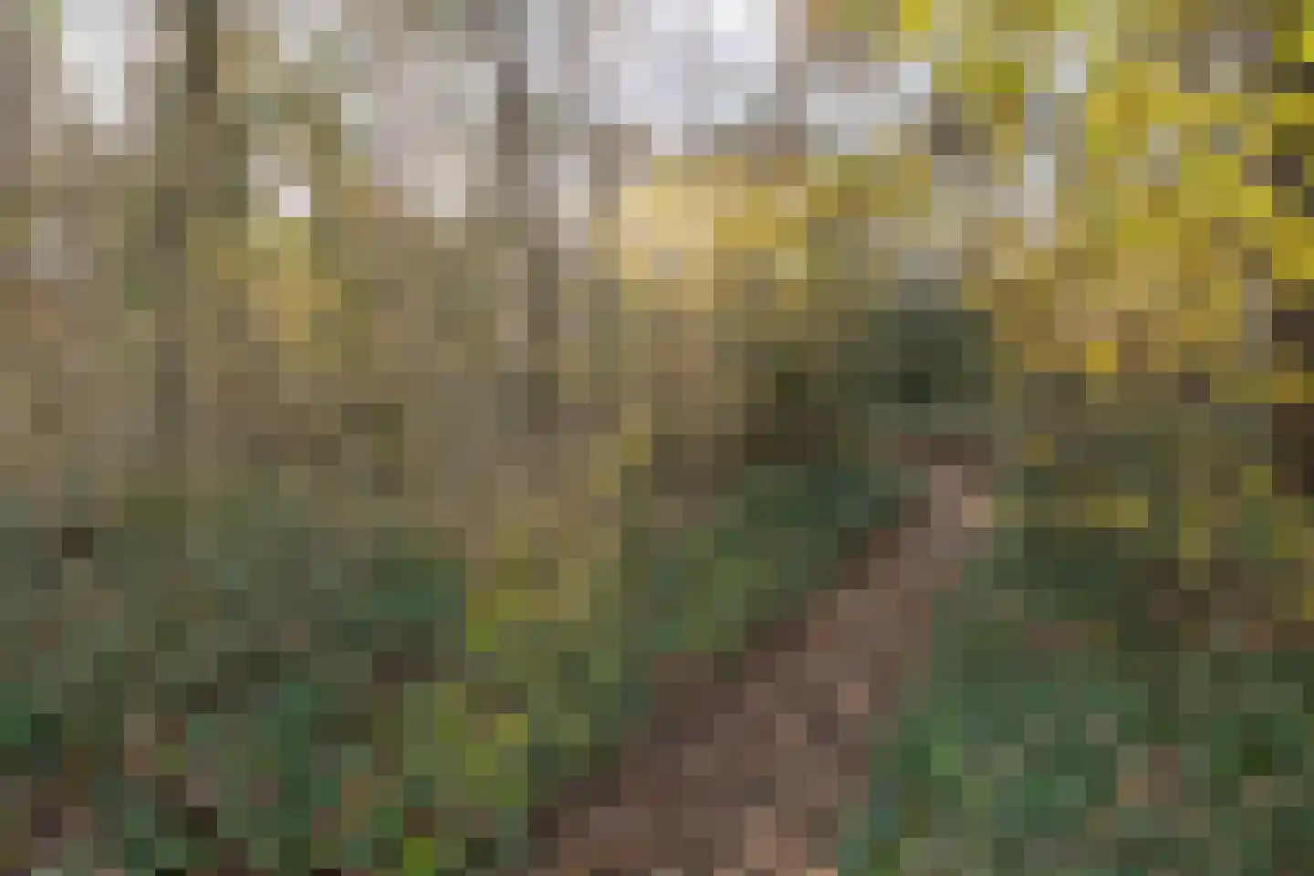 Groenlinglaan 30 Maarn thumbnail 46