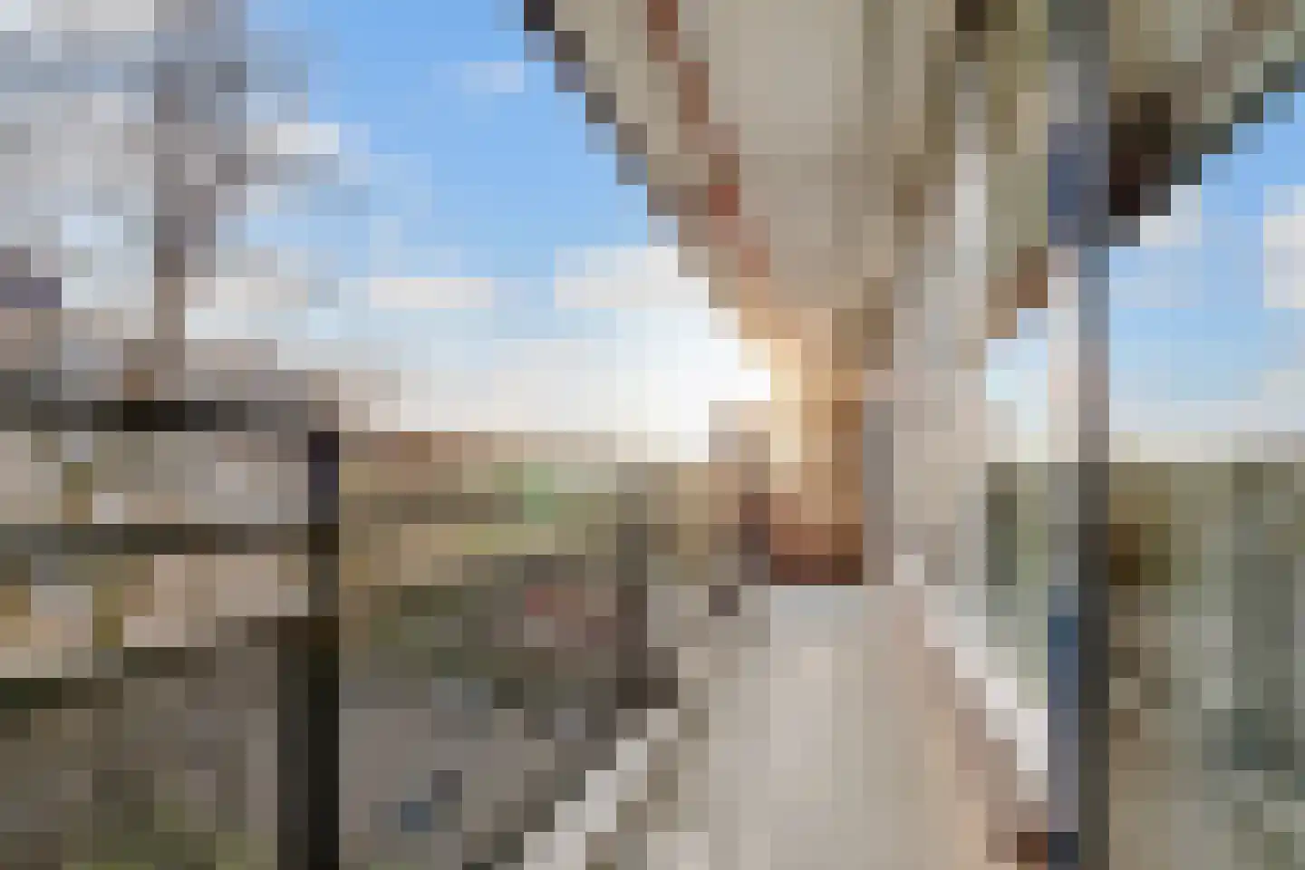 Groenlinglaan 74 Bilthoven thumbnail 21