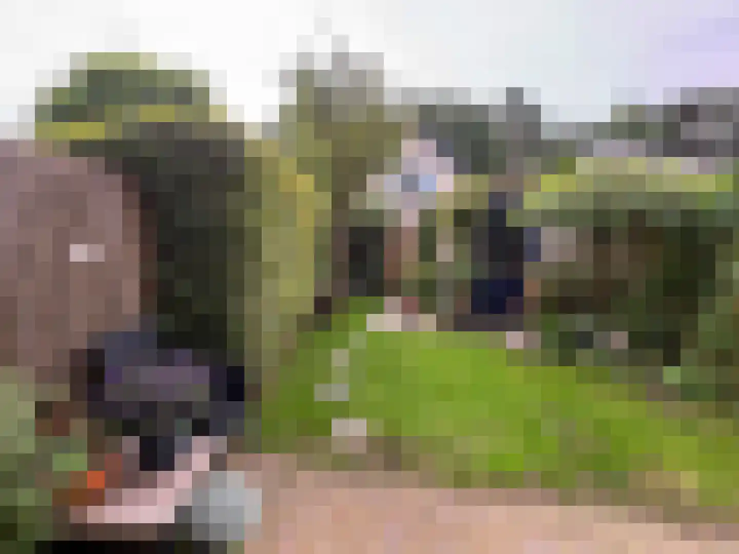 Groenlinglaan 88 Maarn thumbnail 28