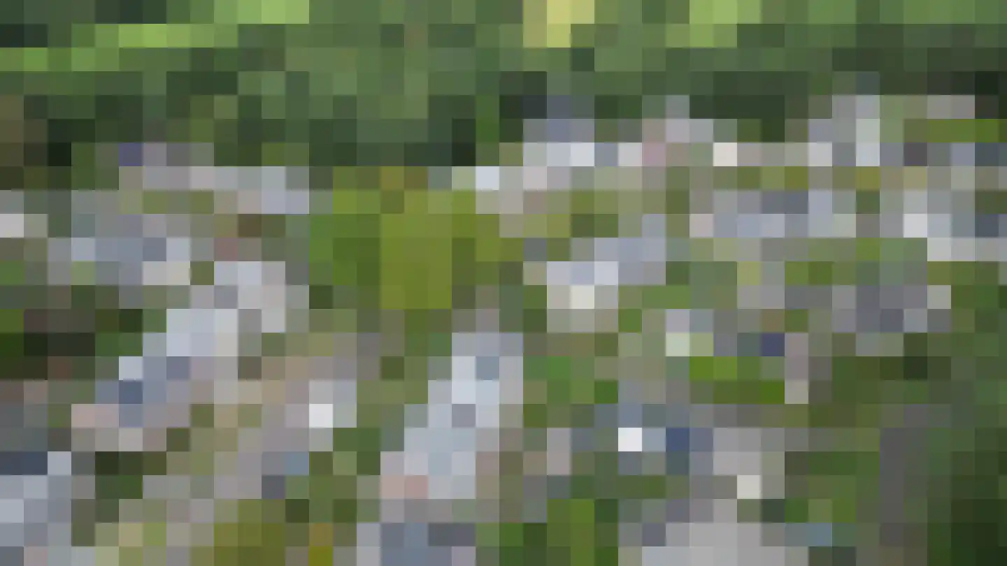 Groenlinglaan 88 Maarn thumbnail 34