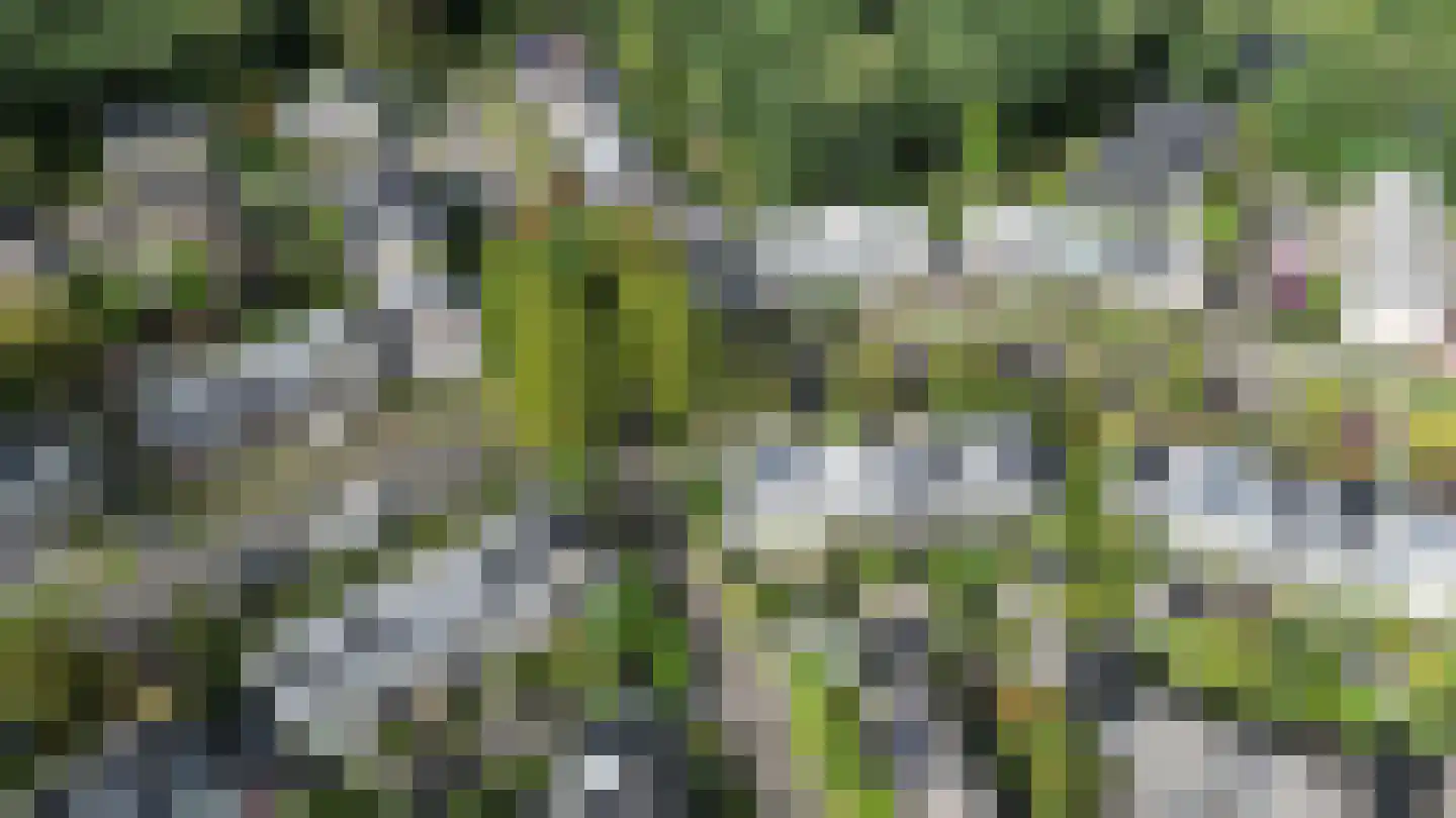 Groenlinglaan 88 Maarn thumbnail 35