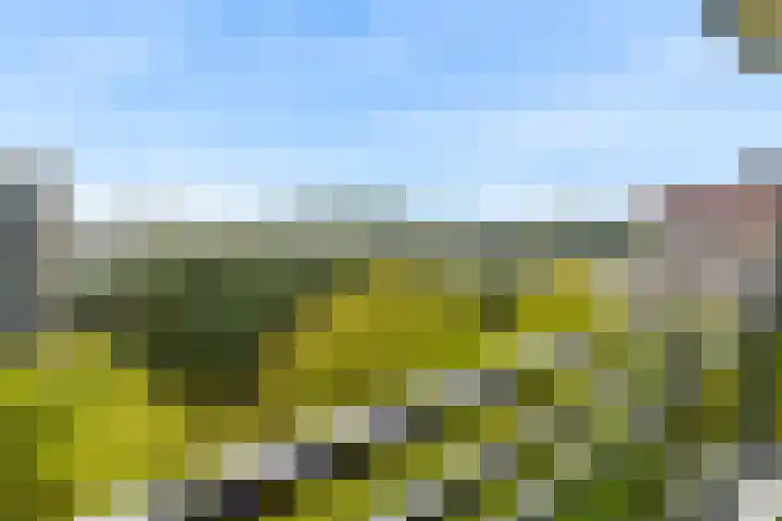 Groenlinglaan 98 Bilthoven thumbnail 21