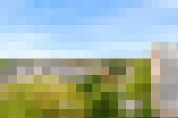 Groenlinglaan 98 Bilthoven thumbnail 26