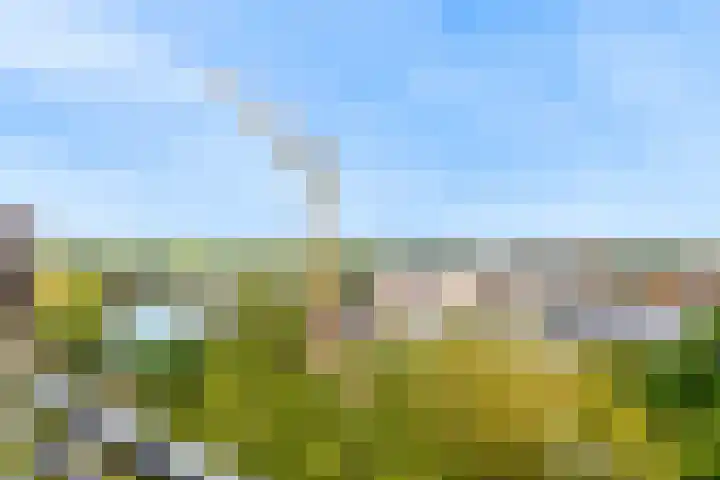 Groenlinglaan 98 Bilthoven thumbnail 27