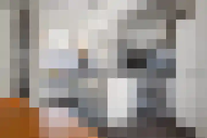 Groenlingstraat 10 Breda thumbnail 13