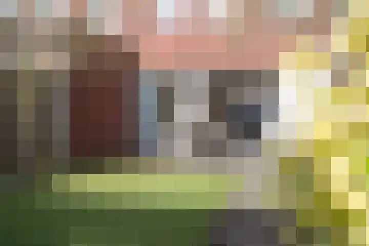 Groenlingstraat 10 Breda thumbnail 39