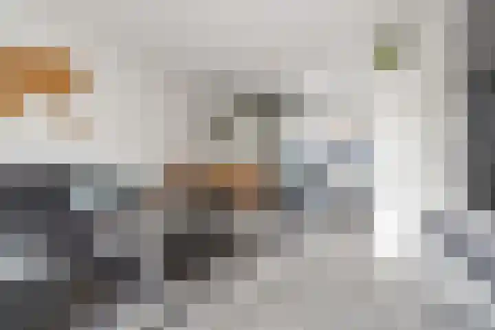 Groenlingstraat 10 Breda thumbnail 8
