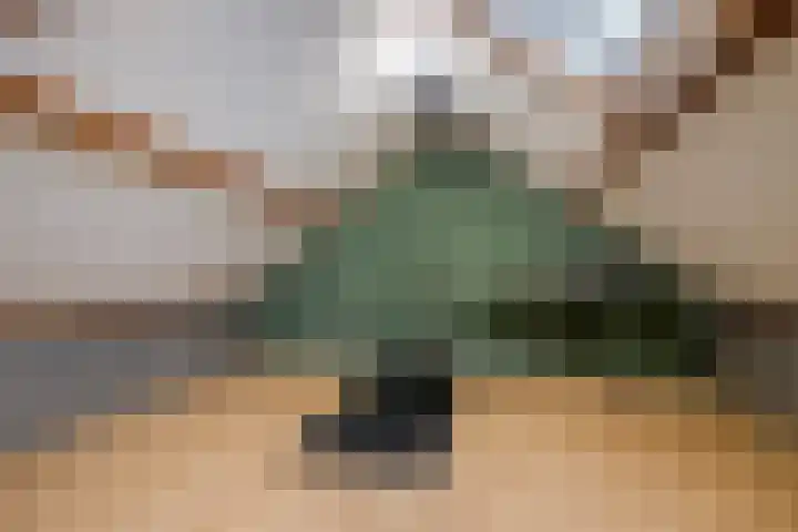 Groenlingstraat 28 Mill thumbnail 22