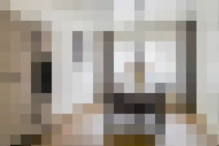 Groenlingstraat 28 Mill thumbnail 7