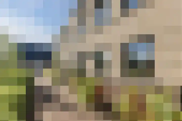 Groenlingstraat 31 Heerhugowaard thumbnail 6