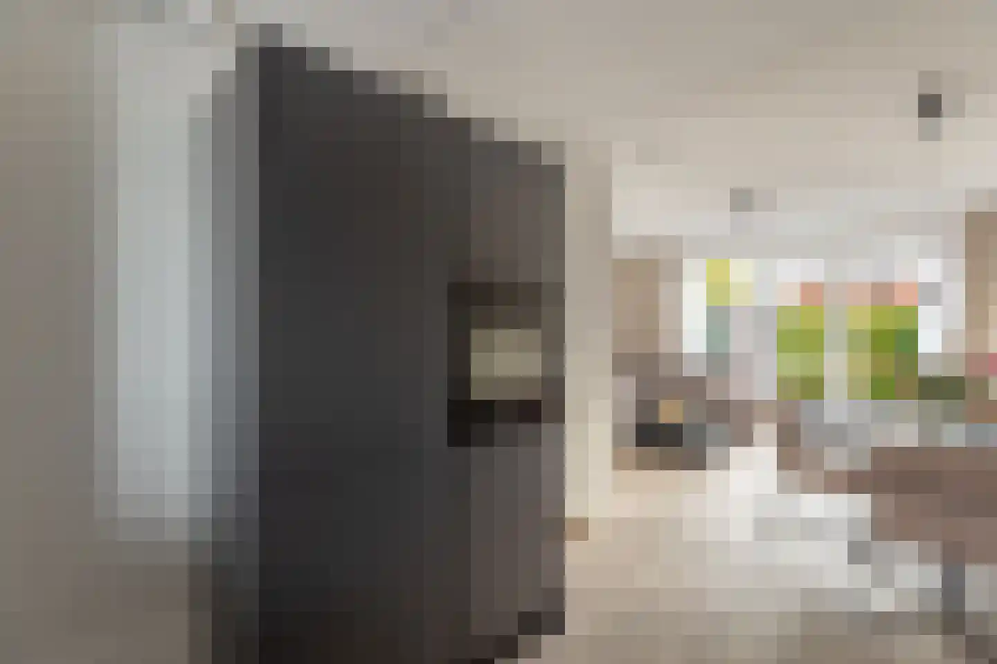 Groenlingstraat 34 Heerhugowaard thumbnail 11