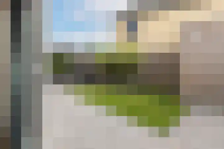 Groenlingstraat 37 Heerhugowaard thumbnail 38