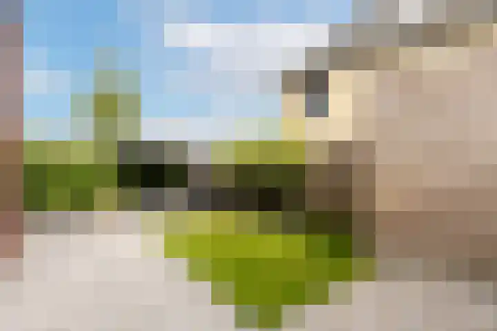 Groenlingstraat 37 Heerhugowaard thumbnail 39