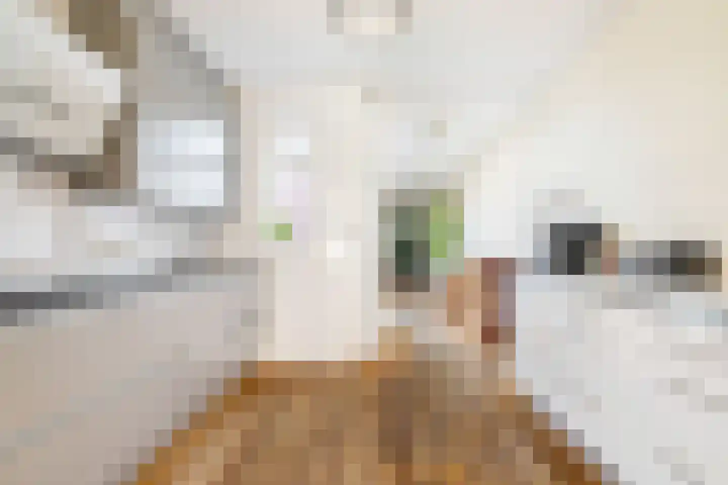 Groenlingstraat 43 Breda thumbnail 12