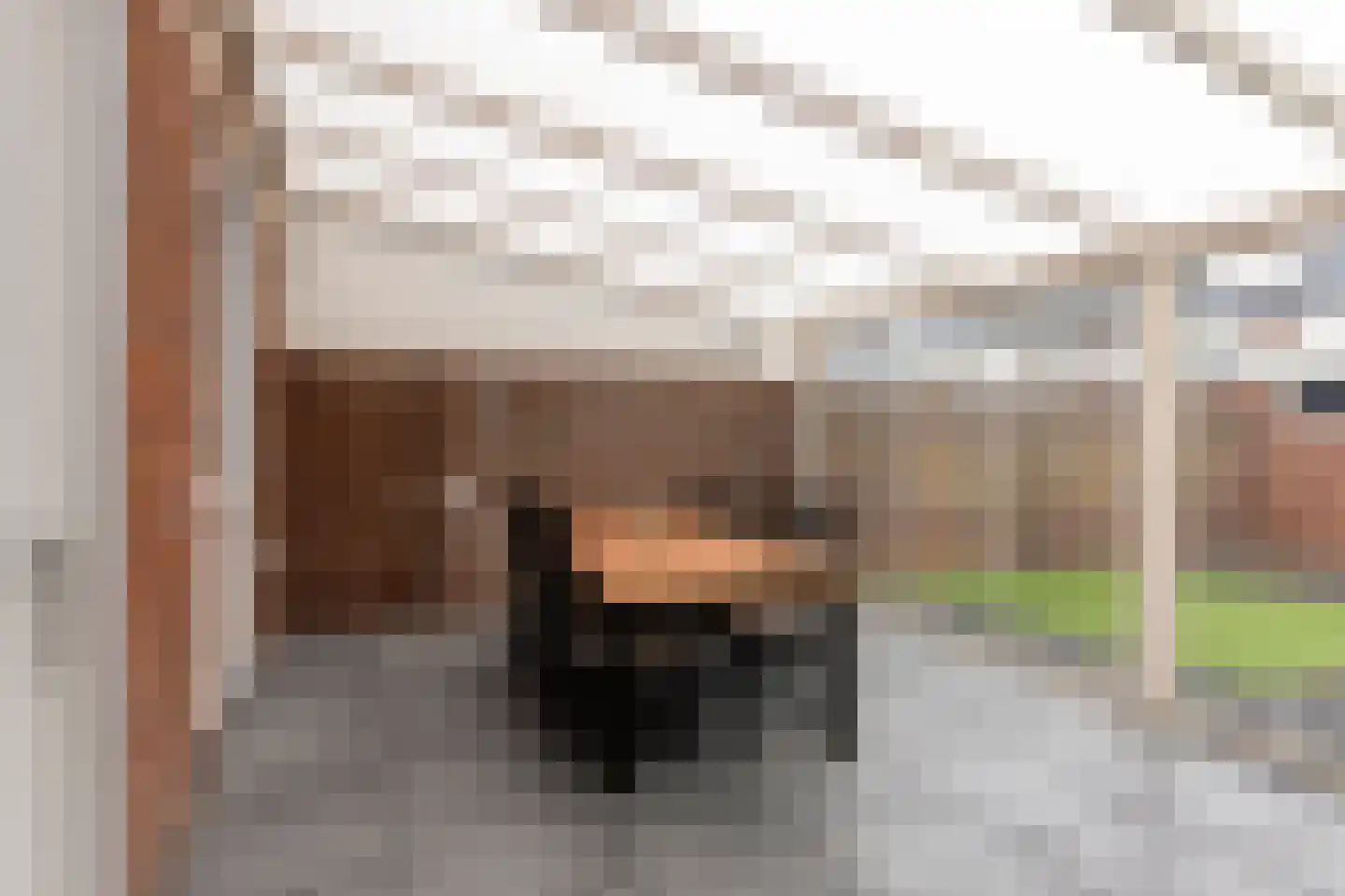 Groenlingstraat 5 Helmond thumbnail 18