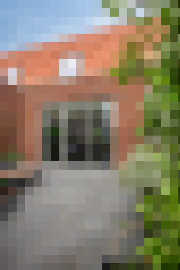 Groenlingstraat 57 Heerhugowaard thumbnail 17