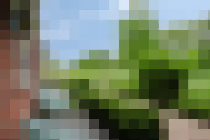 Groenlingstraat 57 Heerhugowaard thumbnail 6