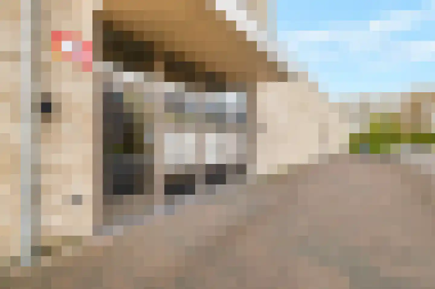 Groenlingstraat 92 Heerhugowaard thumbnail 5