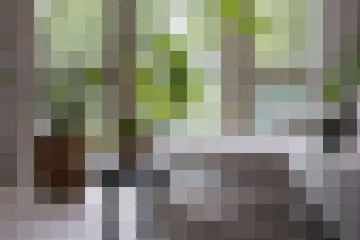Groenlingstraat 98 Heerhugowaard thumbnail 6
