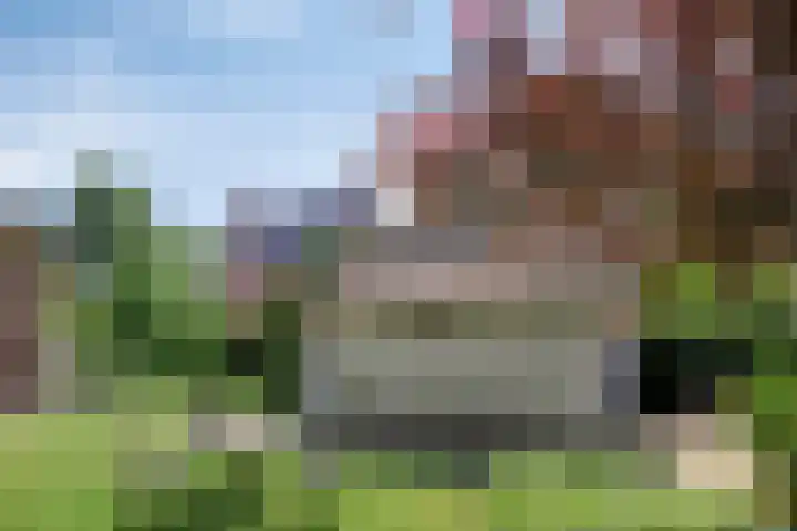 Groenloseweg 121 Winterswijk thumbnail 27