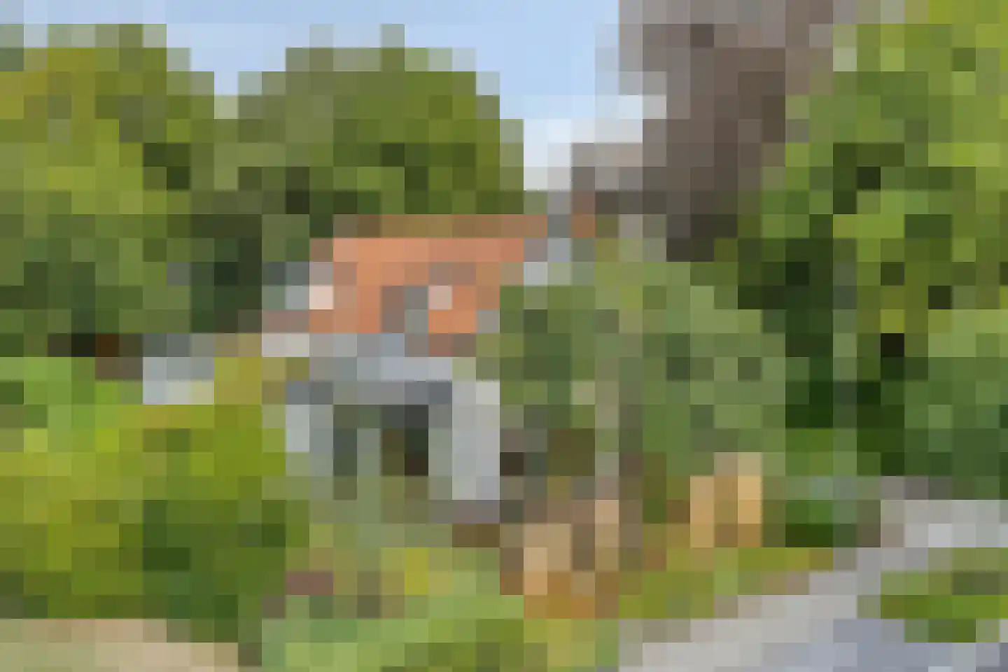 Groenloseweg 38 Winterswijk thumbnail 46