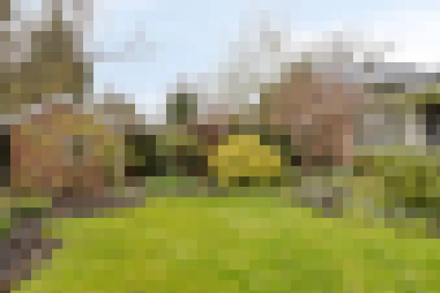 Groenloseweg 89 I Winterswijk thumbnail 39