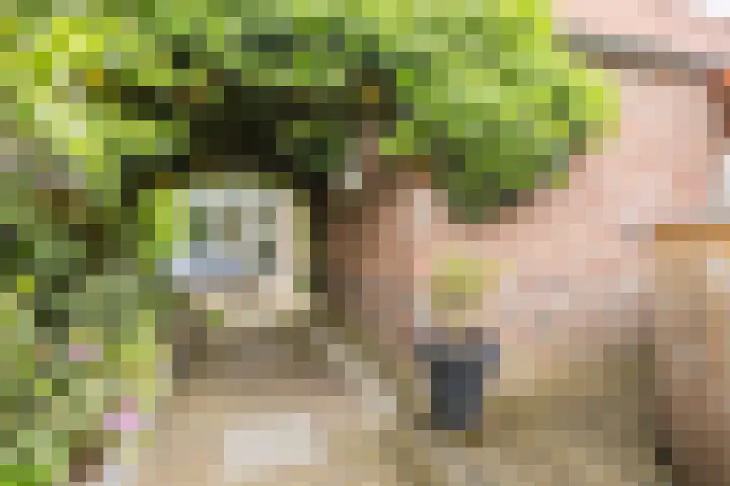 Groenlostraat 34 Eindhoven thumbnail 36