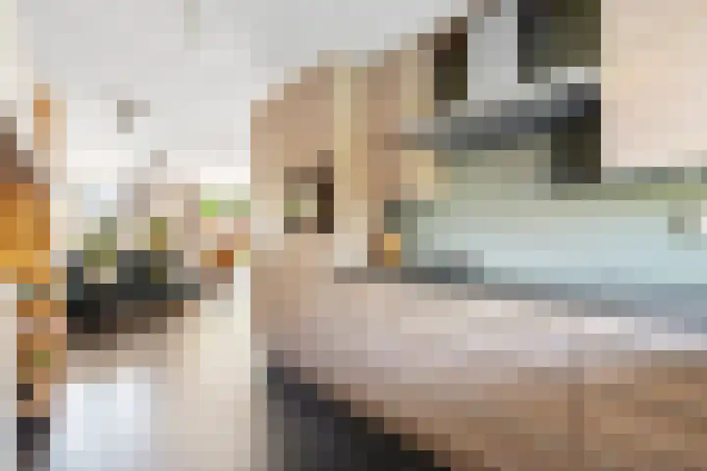 Groenlust 41 Amsterdam thumbnail 11