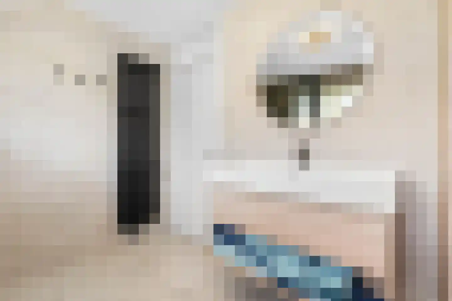 Groenlust 41 Amsterdam thumbnail 20