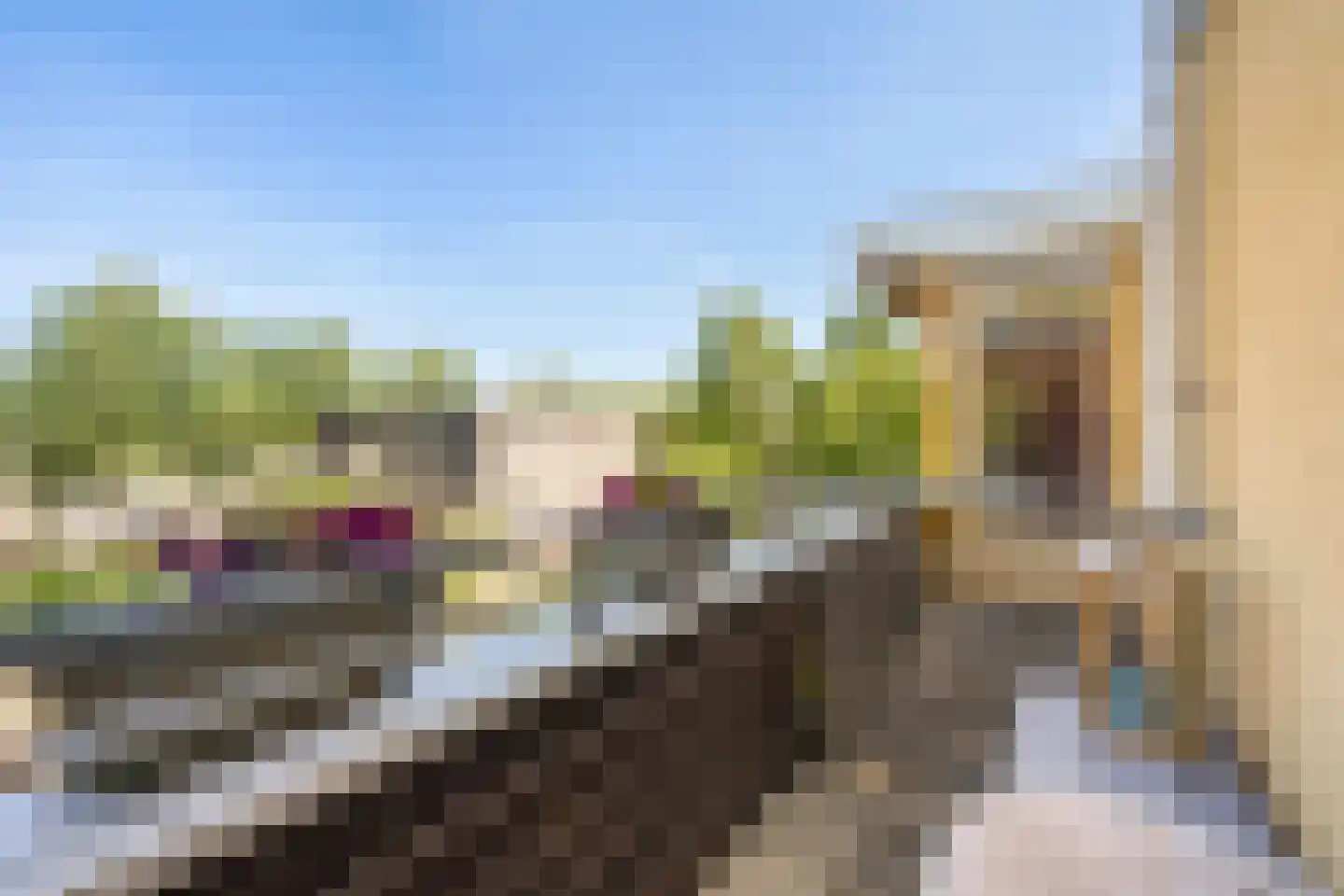 Groenlust 41 Amsterdam thumbnail 25