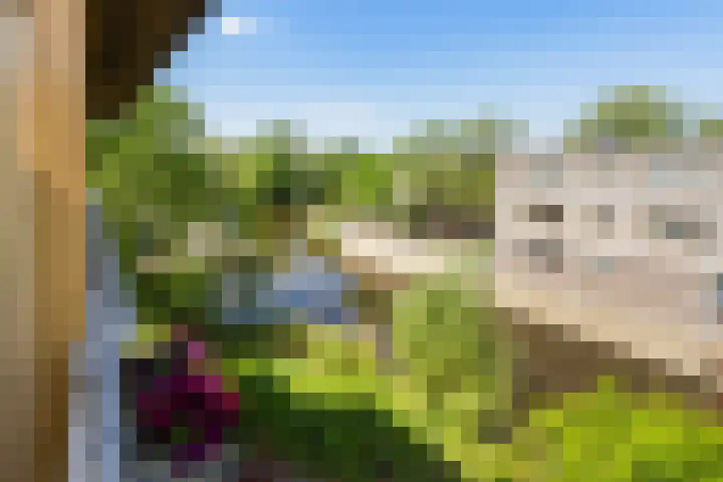 Groenlust 41 Amsterdam thumbnail 26