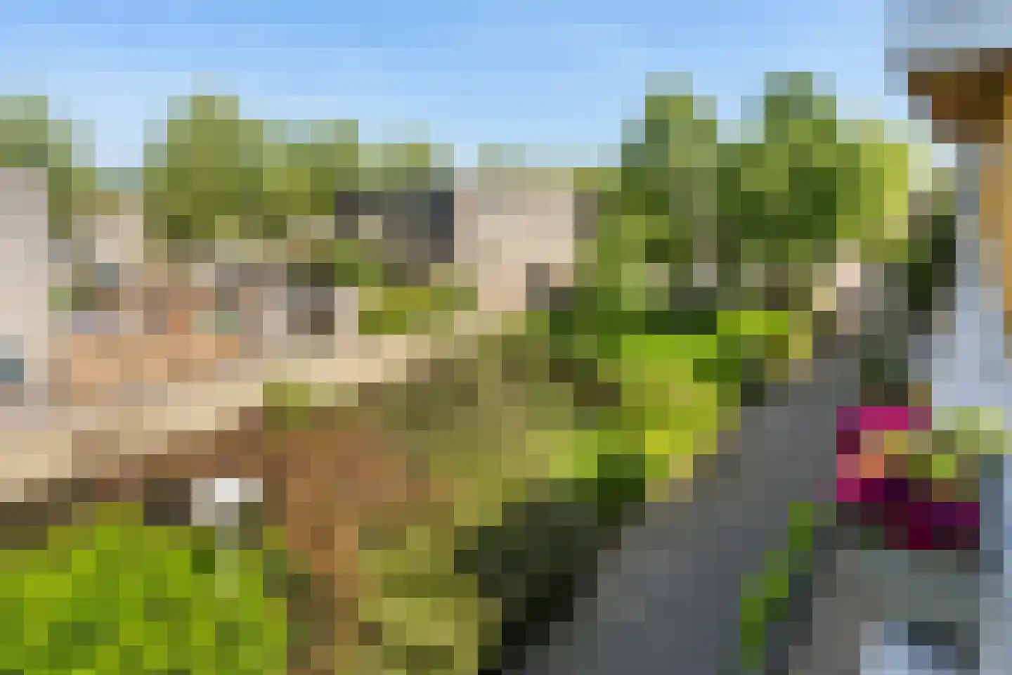 Groenlust 41 Amsterdam thumbnail 27