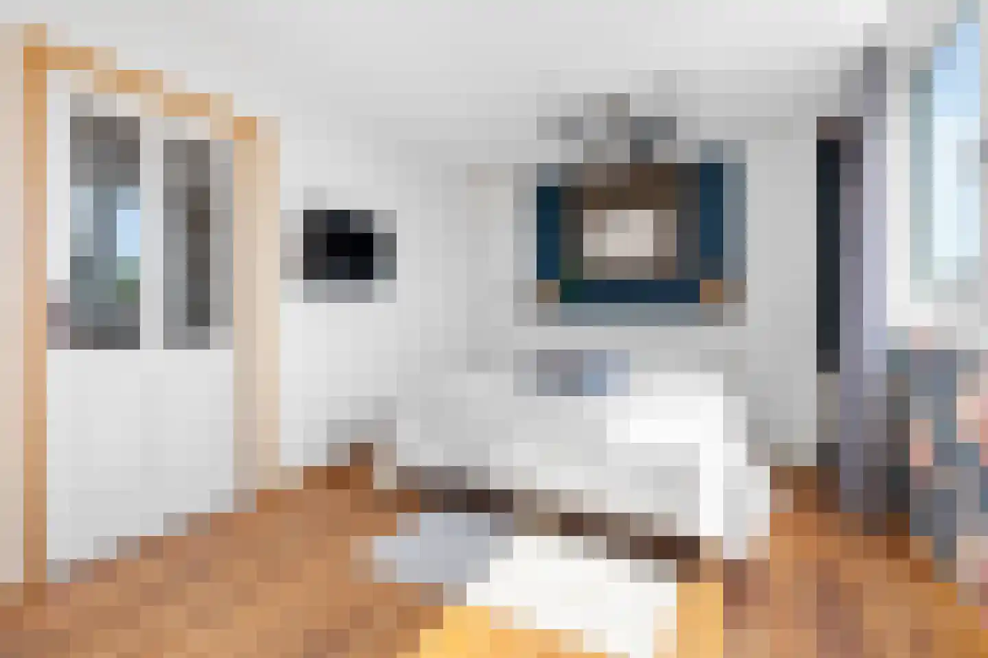 Groenlust 41 Amsterdam thumbnail 29