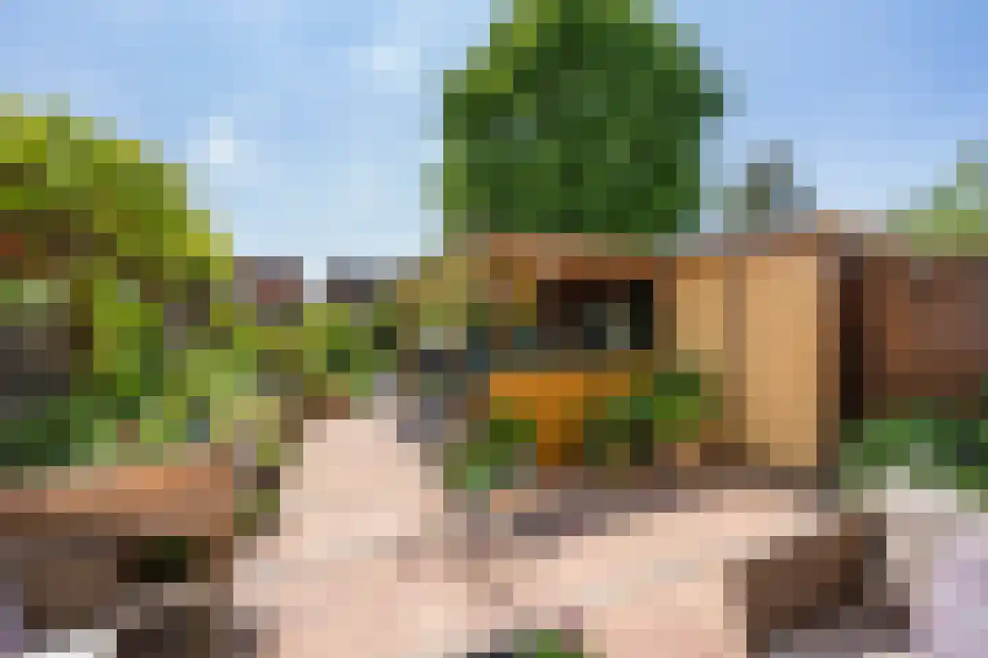 Groenlust 41 Amsterdam thumbnail 34