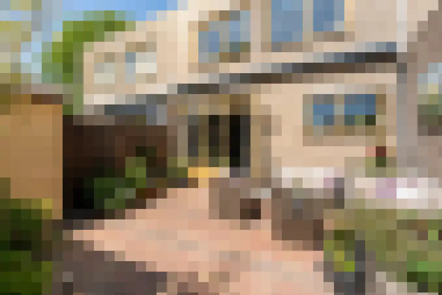 Groenlust 41 Amsterdam thumbnail 36
