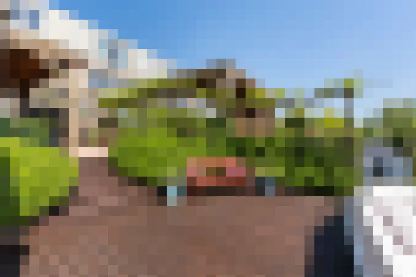 Groenlust 41 Amsterdam thumbnail 42