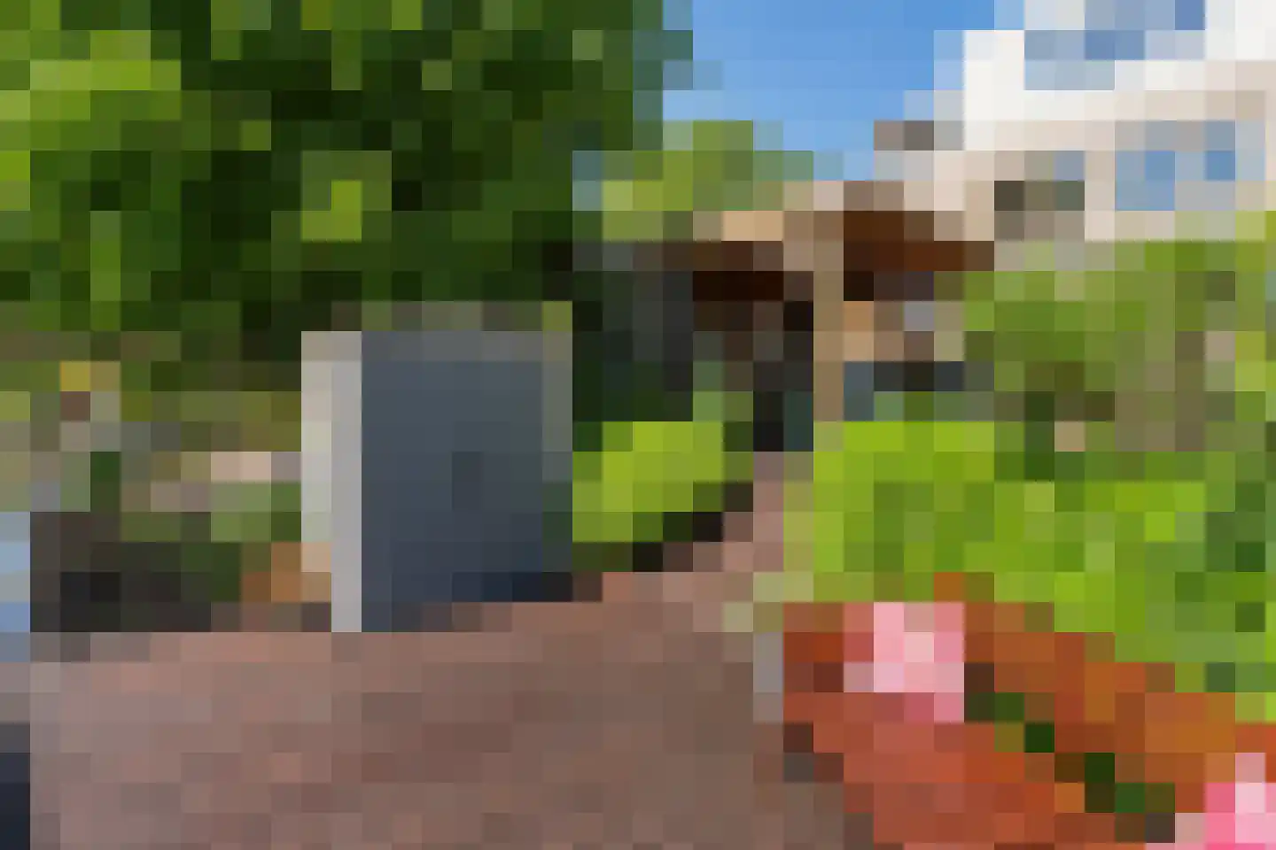 Groenlust 41 Amsterdam thumbnail 43