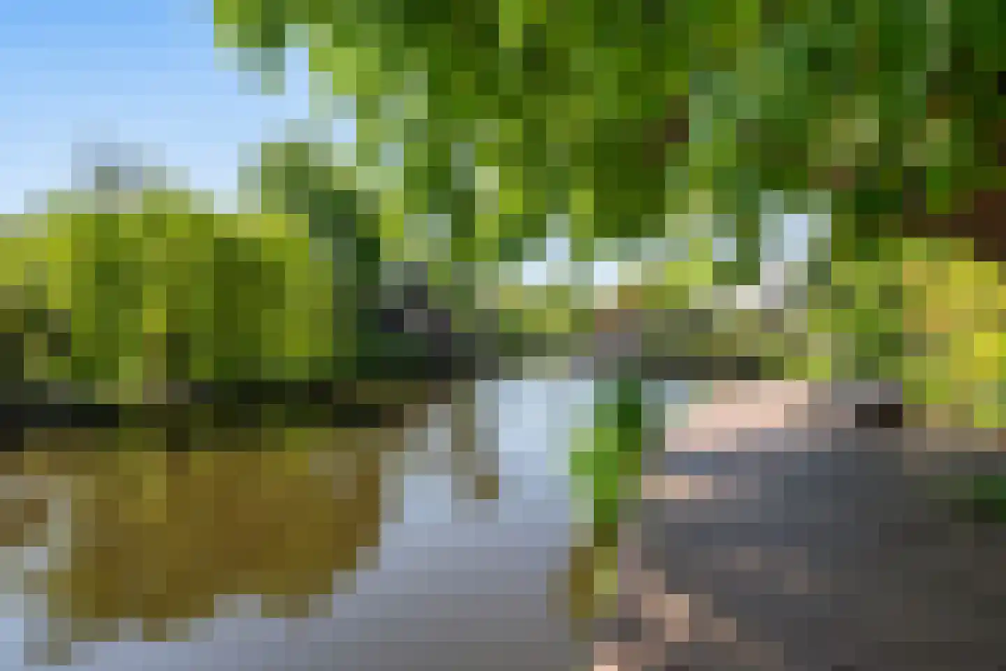 Groenlust 41 Amsterdam thumbnail 45