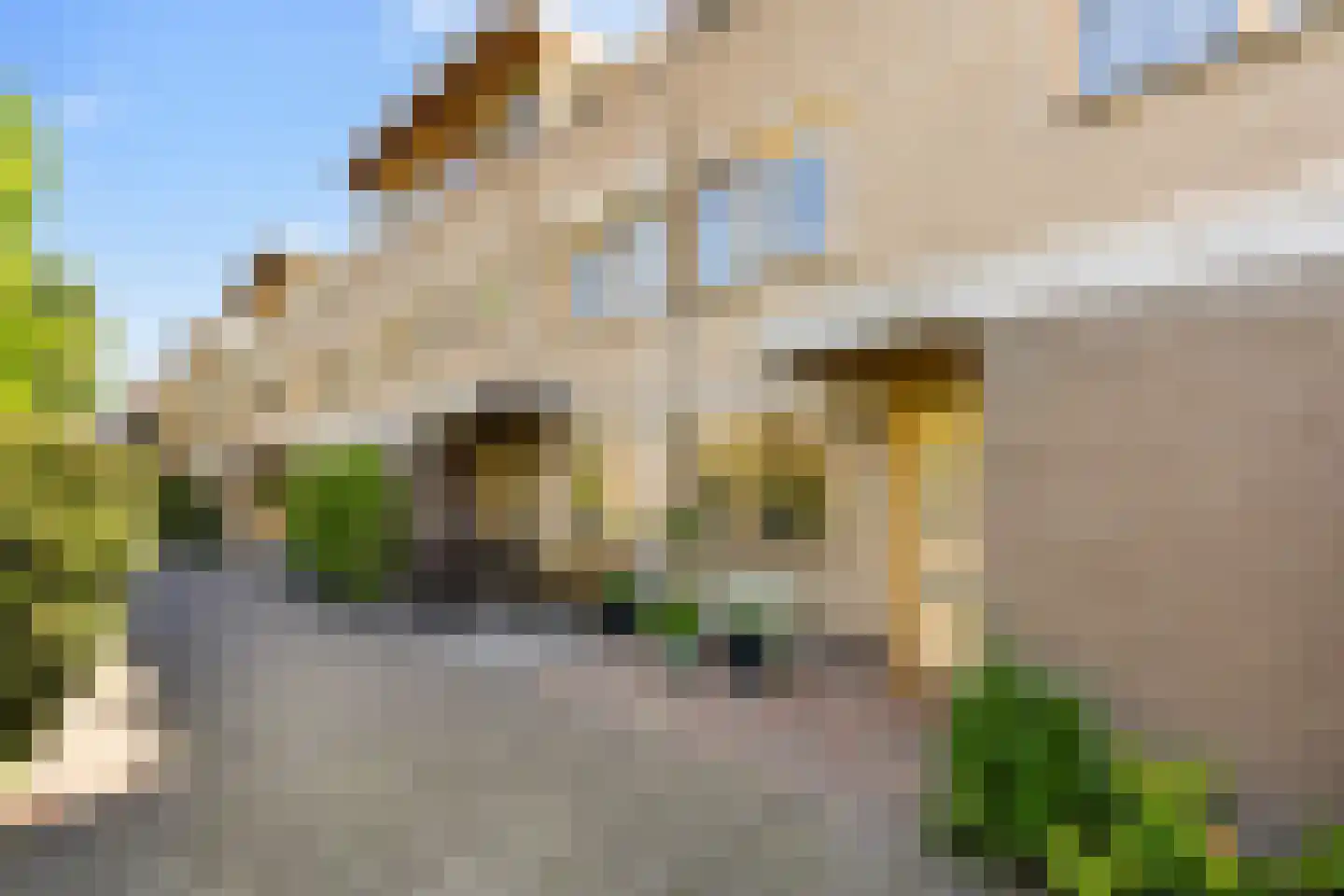 Groenlust 41 Amsterdam thumbnail 52