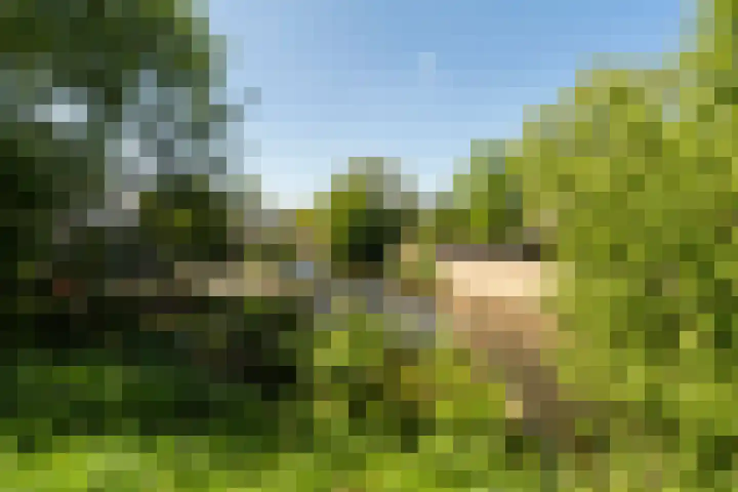Groenlust 41 Amsterdam thumbnail 53
