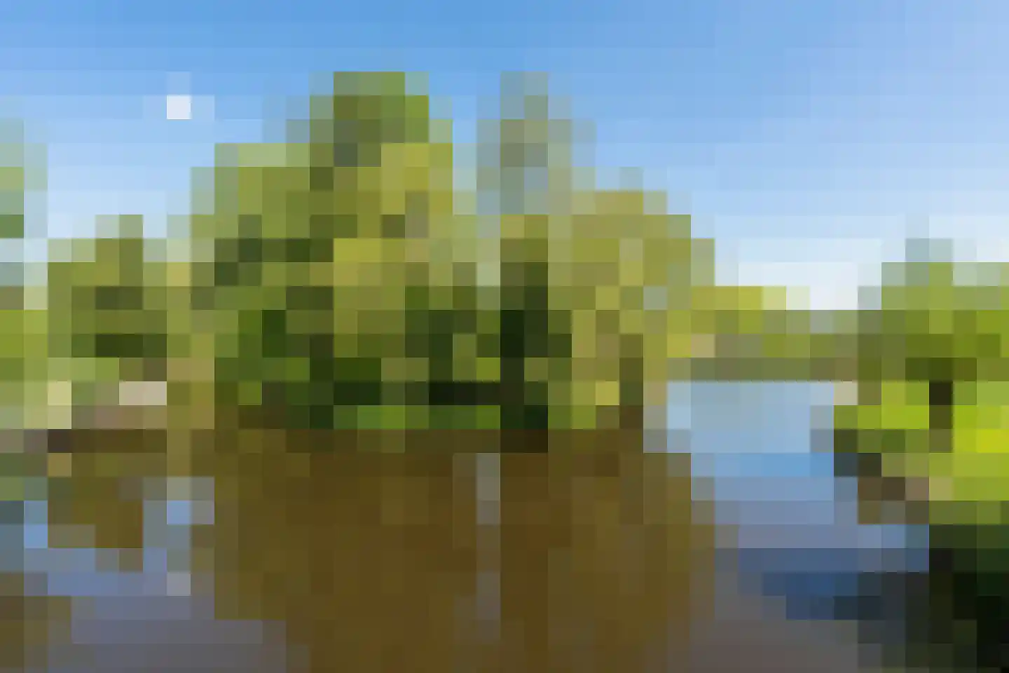 Groenlust 41 Amsterdam thumbnail 56