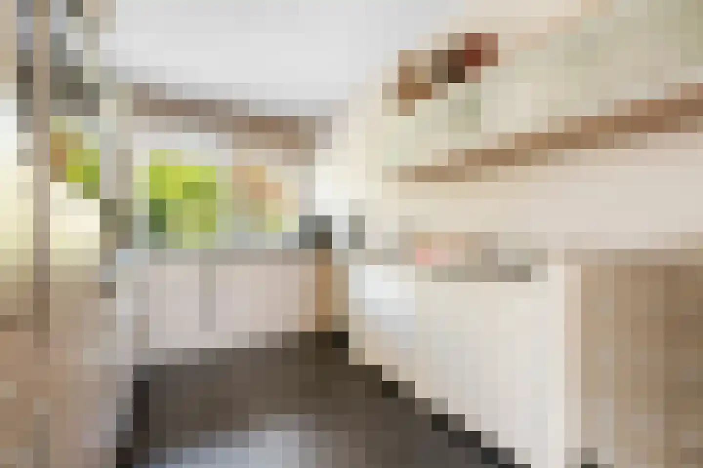 Groenlust 41 Amsterdam thumbnail 9