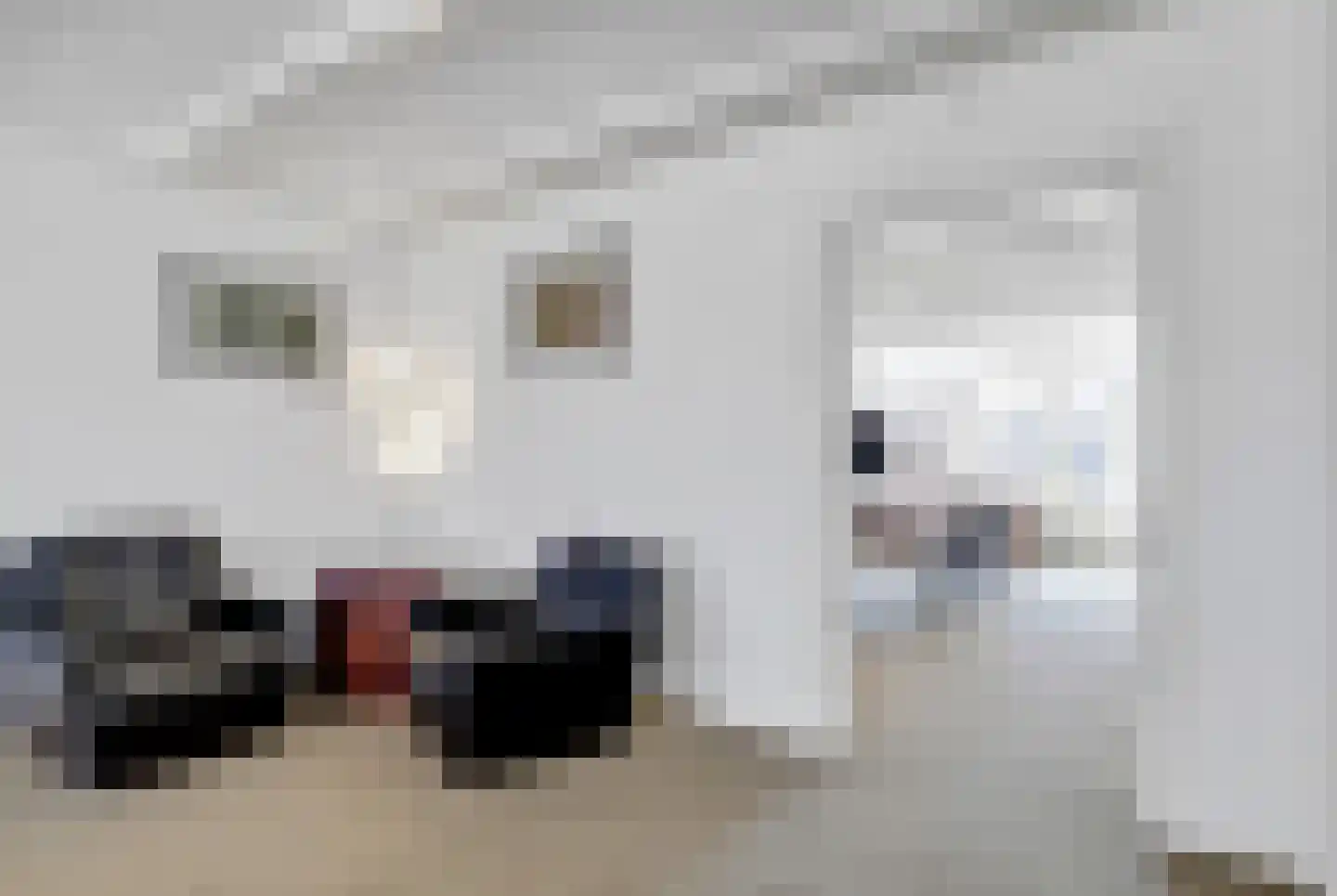 Groenmarkt 26 Zutphen thumbnail 10