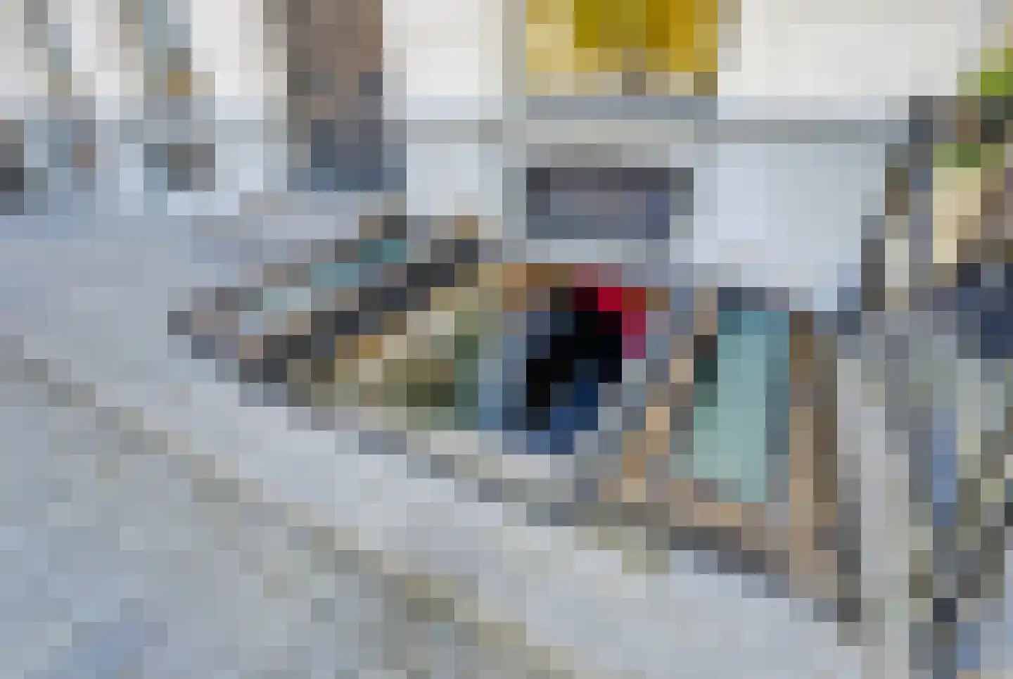 Groenmarkt 26 Zutphen thumbnail 33
