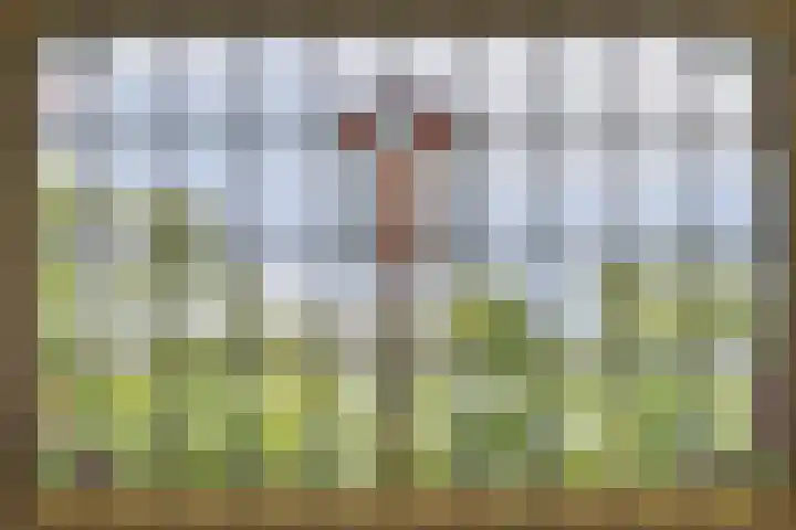 Groenmarktkade 1 4 Amsterdam thumbnail 25