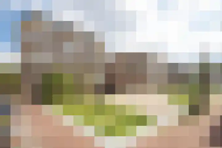 Groenmarktkade 14 Amsterdam thumbnail 28